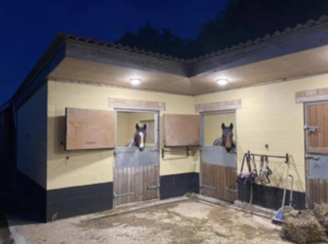 Southview Farm Villa Halsham Екстериор снимка